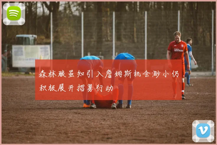 森林狼虽知引入詹姆斯机会渺小仍积极展开招募行动