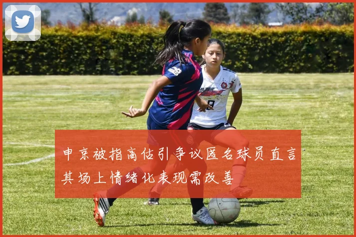 申京被指高估引争议匿名球员直言其场上情绪化表现需改善
